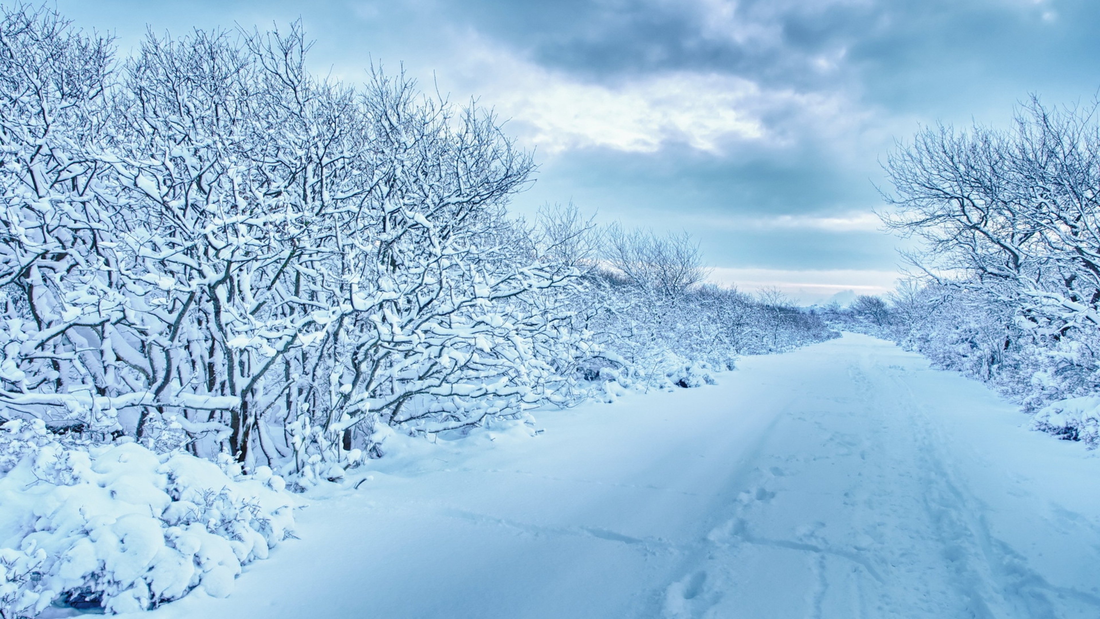  3840x2160 snow trees road traces winter cloudy 4K Ultra HD HD