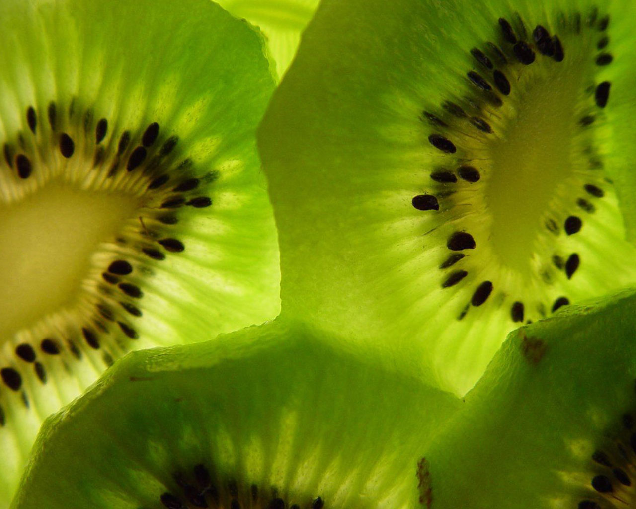 Kiwi Image HD Wallpaper And Background Photos