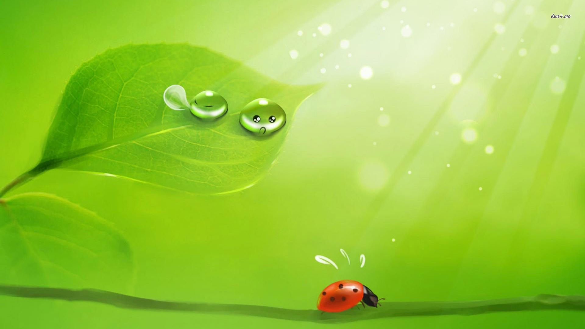 Ladybug Pattern Wallpaper And Dewdrops