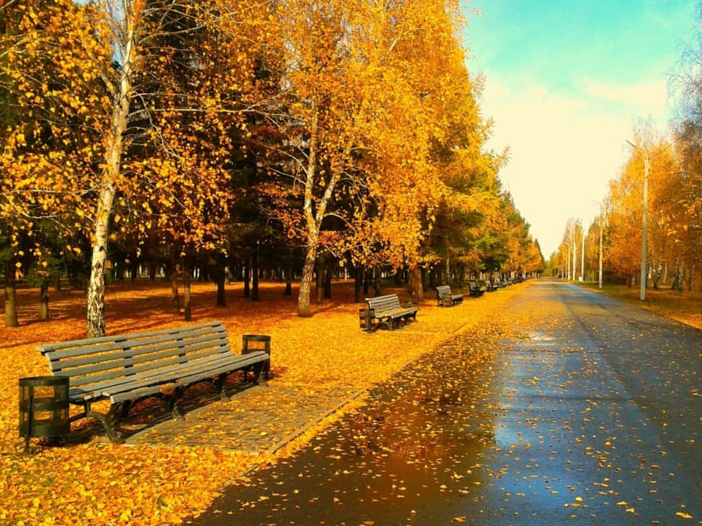 The Colors Of Nature Wallpaper