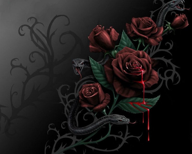 Blood Rose And Roses Abstract Fantasy HD Desktop Wallpaper