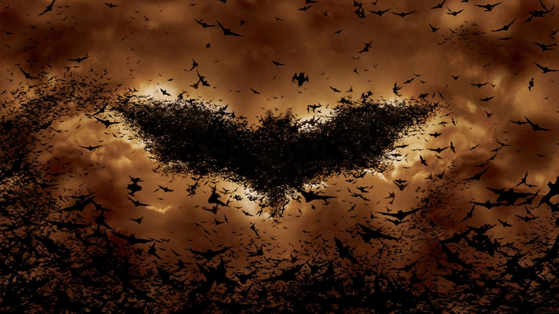 Orange Batman Begins Bats Wallpaper