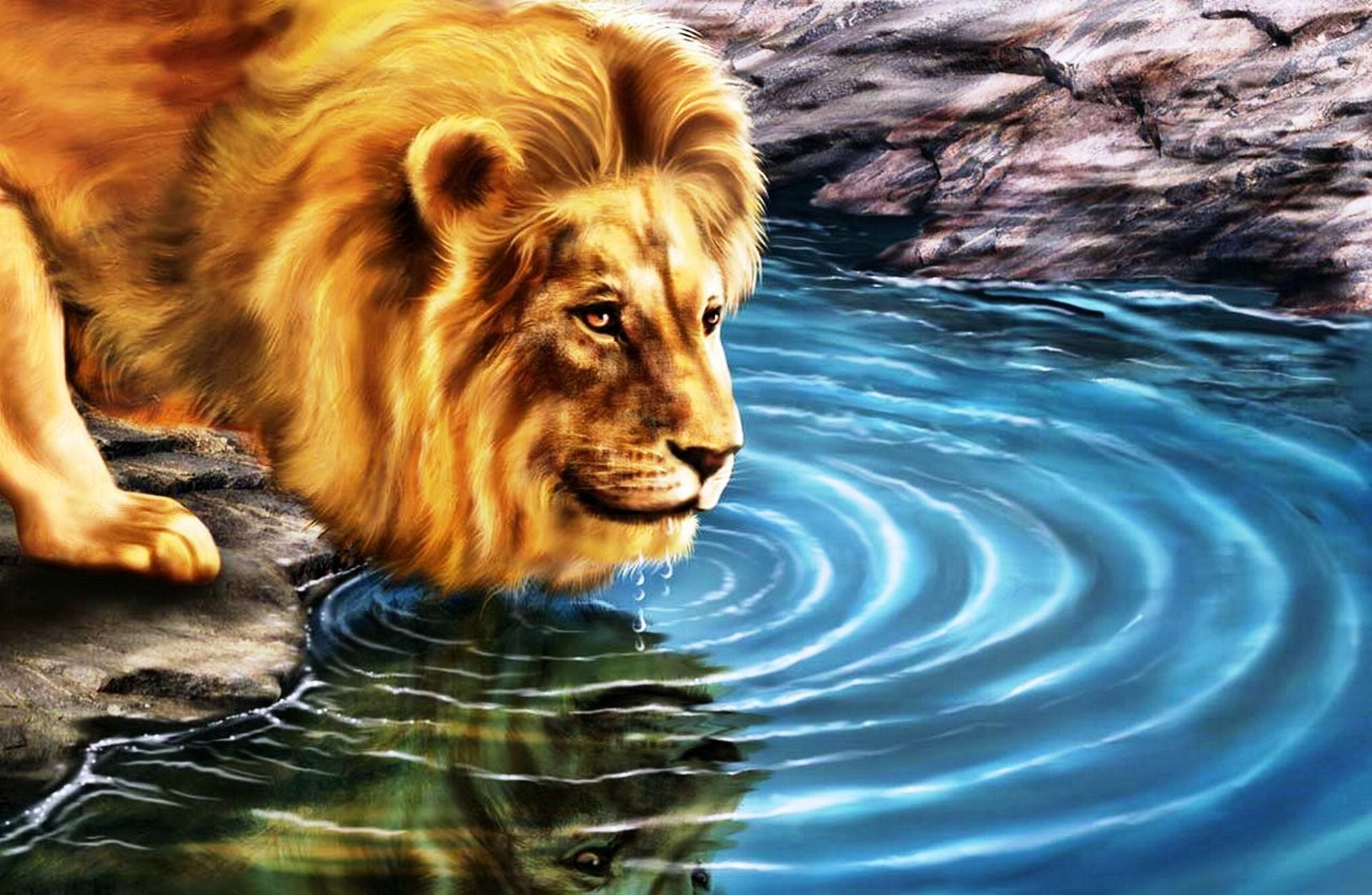 A majestic lion drinks from a cool blue pond, its reflection shimmering in the water. This stunning wallpaper captures the beauty and power of the king of the jungle