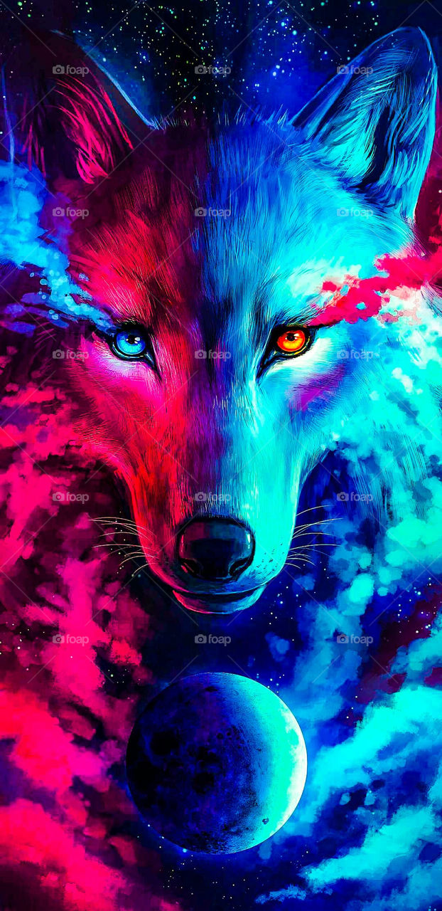 Wolf Wallpaper For Your Phone HD