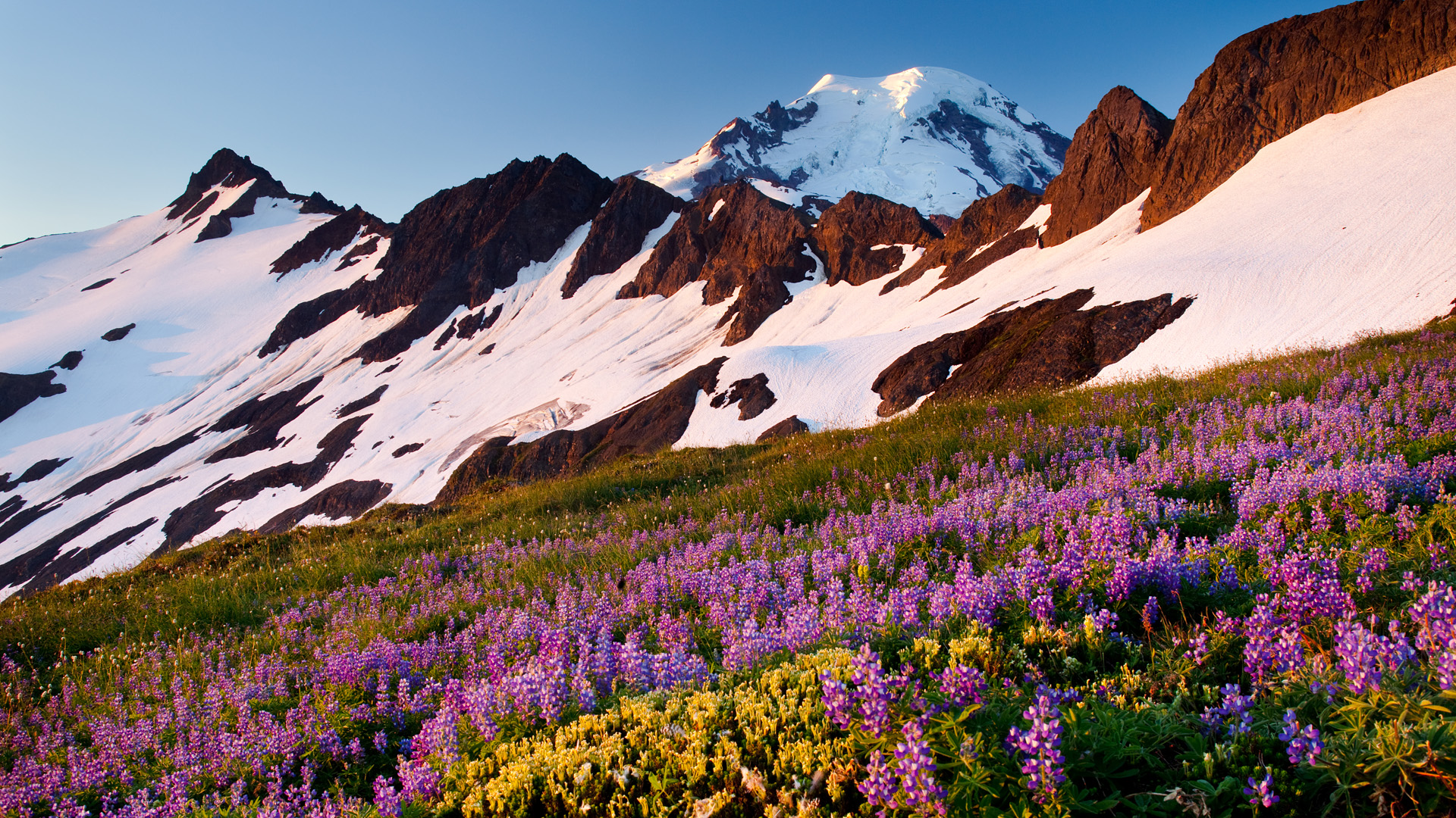 Amazing Landscape Wallpaper Mountainous Landforms Flower Natural