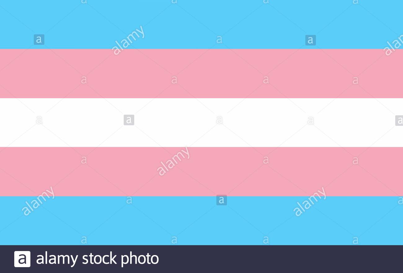 Free download The transgender pride flag in pastel blue pink and white ...