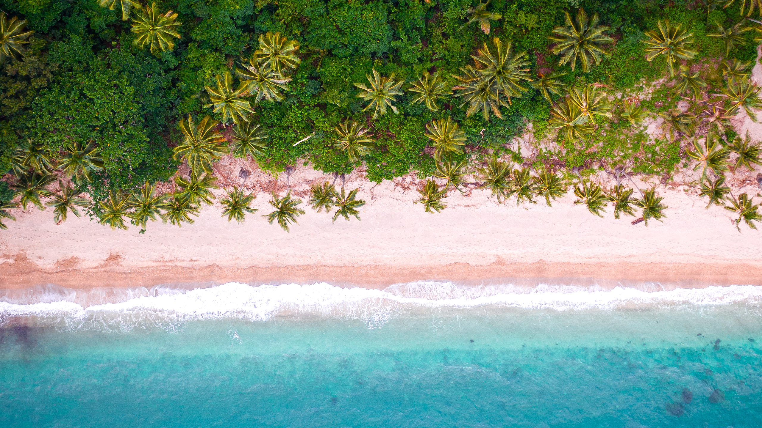 Tropical Beach Aerial View Wallpapers HD Wallpapers 2560x1440