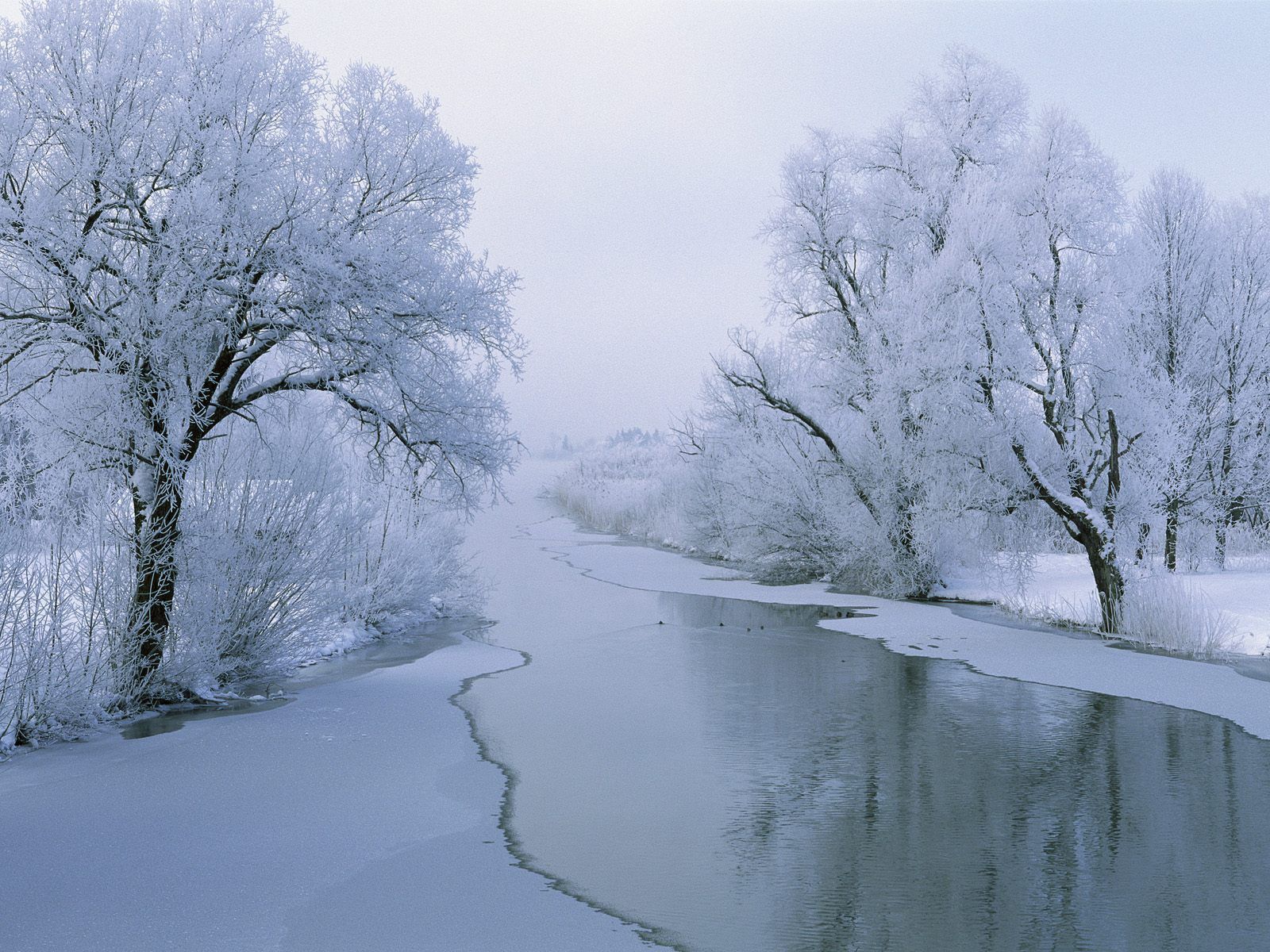 Winter Solstice Wallpaper Photos Cool