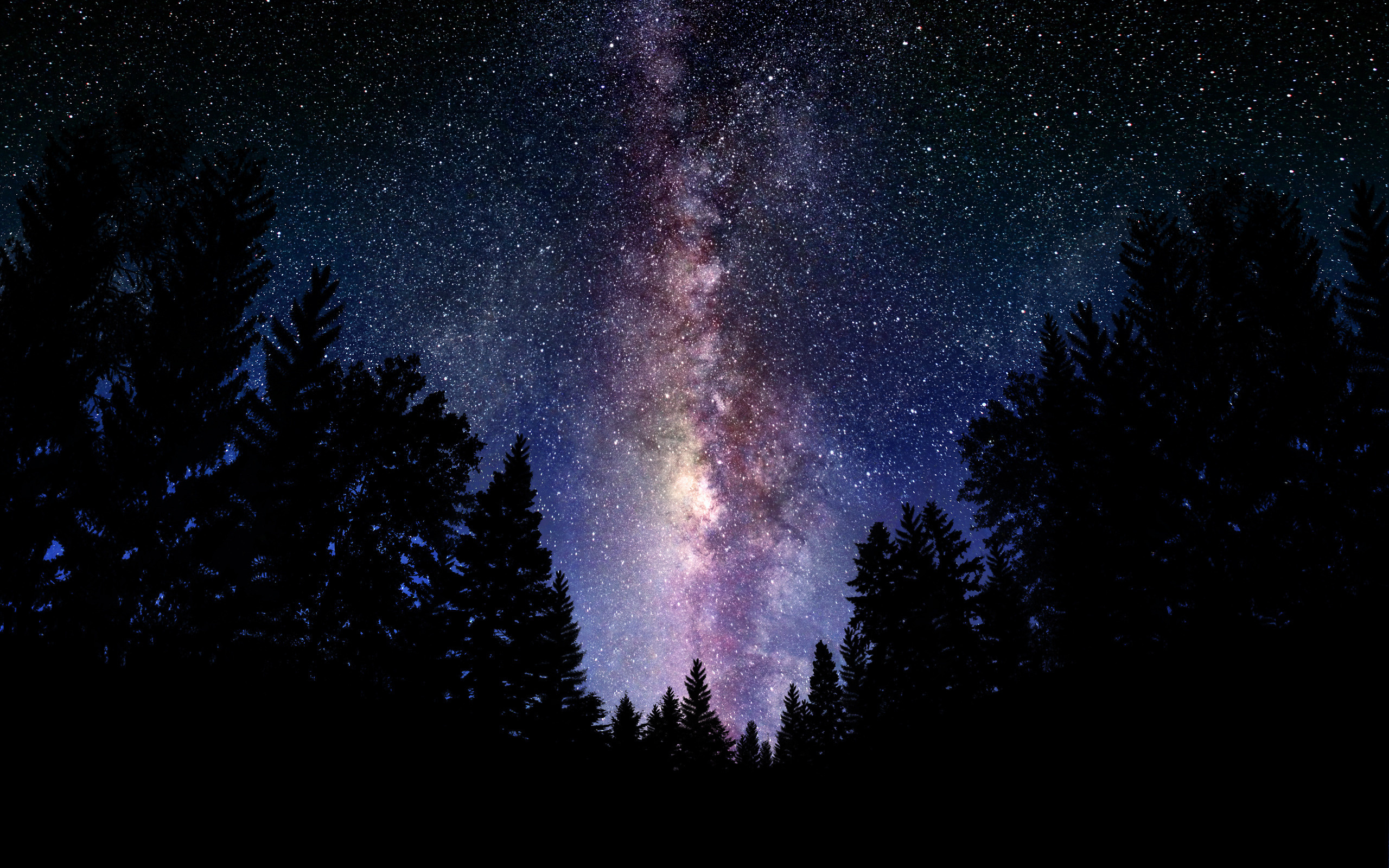 Wallpaper Milky Way sky night stars tree forest desktop wallpaper