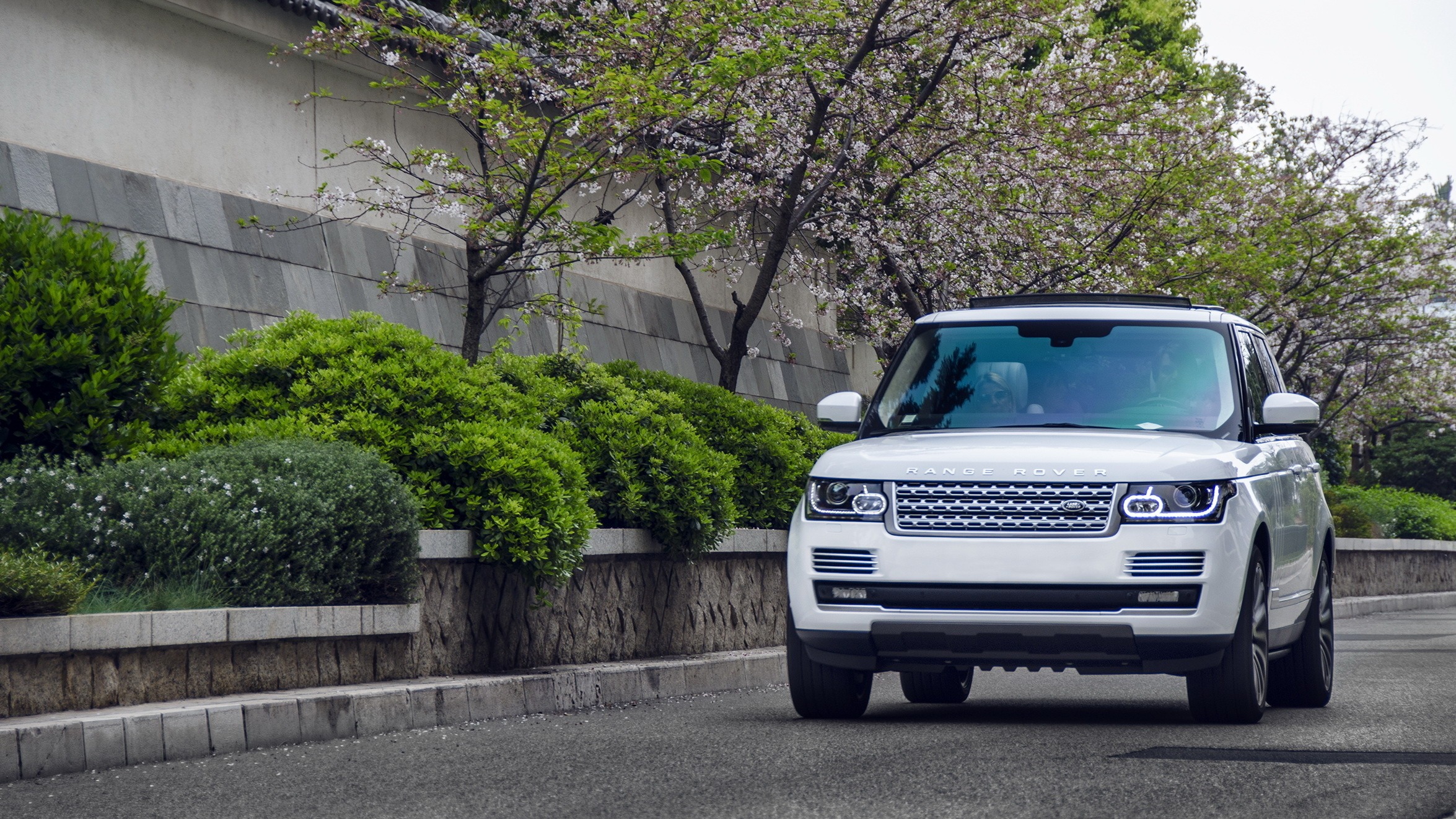 Wallpaper Range Rover White Suv Car HD