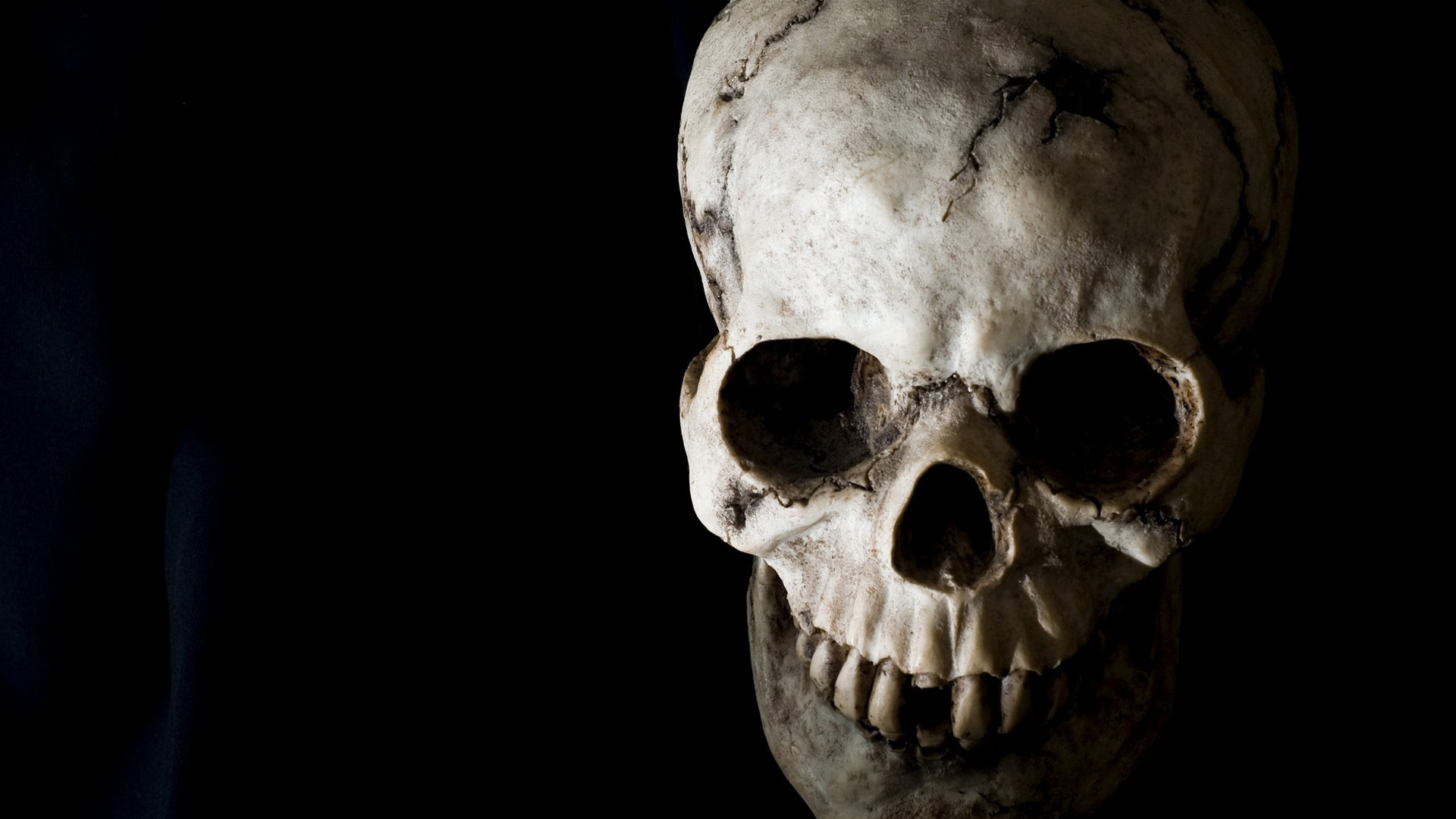 Pics Photos Skeleton Wallpapers Skeleton Backgrounds Page 1 1920x1080. 