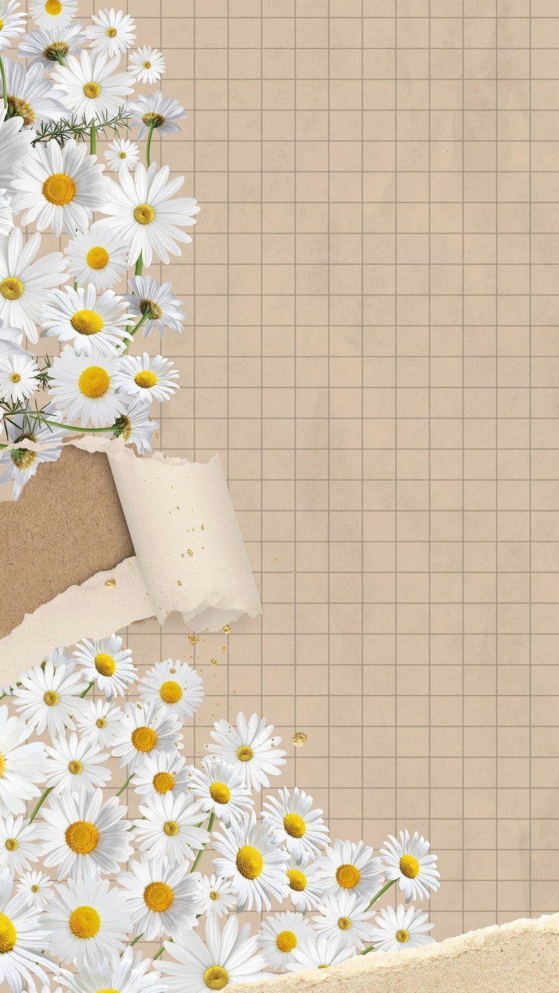 Daisy Aesthetic Wallpaper