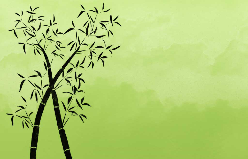 Showing Bamboo Background Image Imagebasket