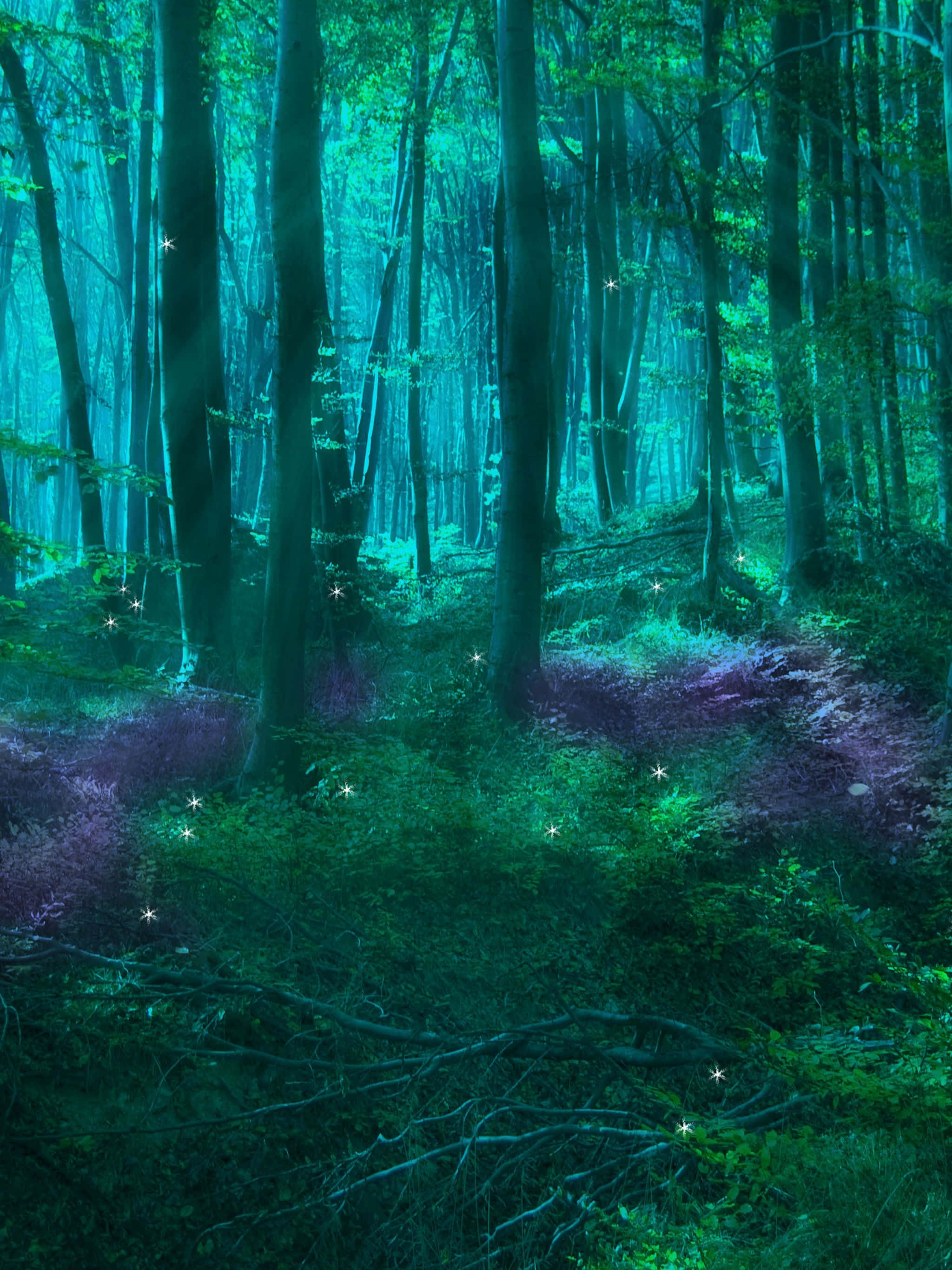 Fairy Forest Wallpaper