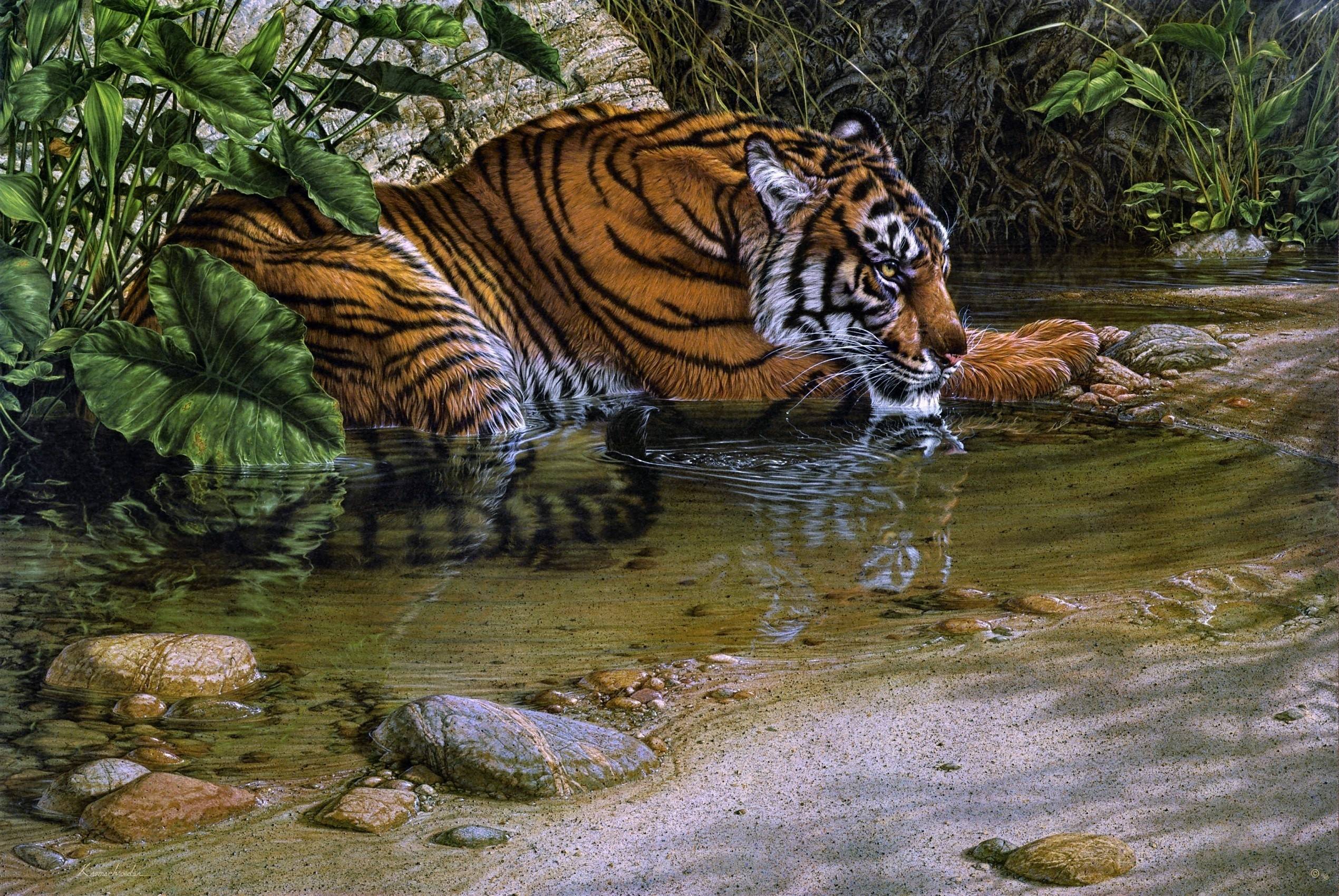 Jungle Animals 25401700 Wallpaper 2365948