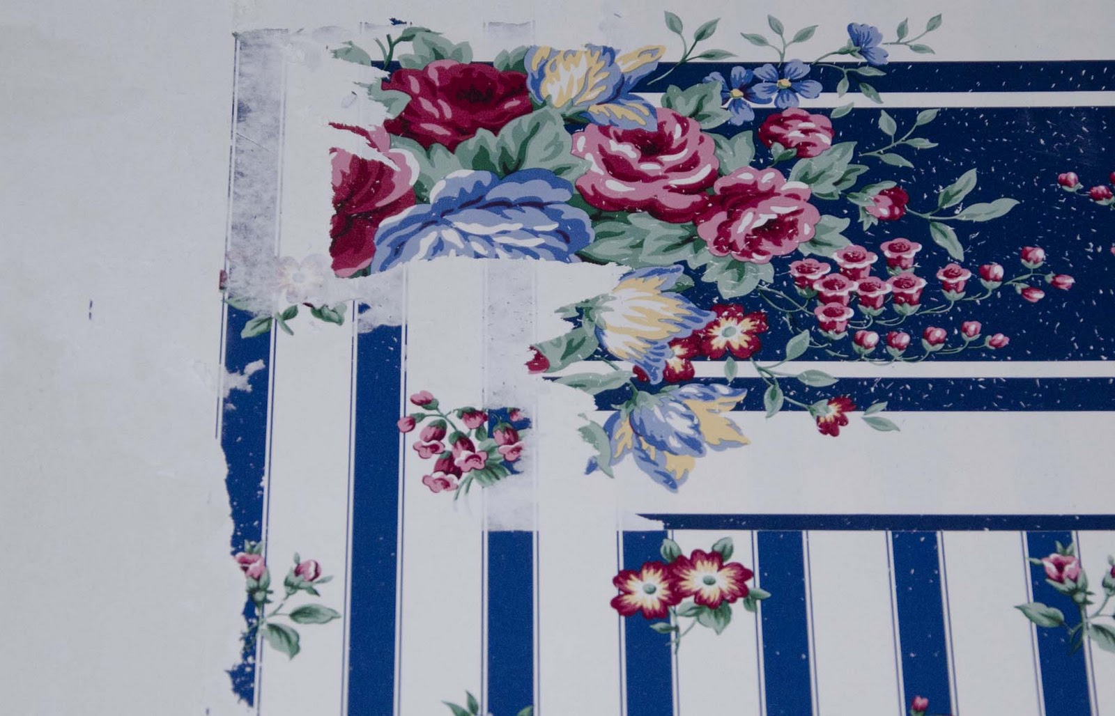 Free download How To Remove Border Wallpaper From A Decorative Wall