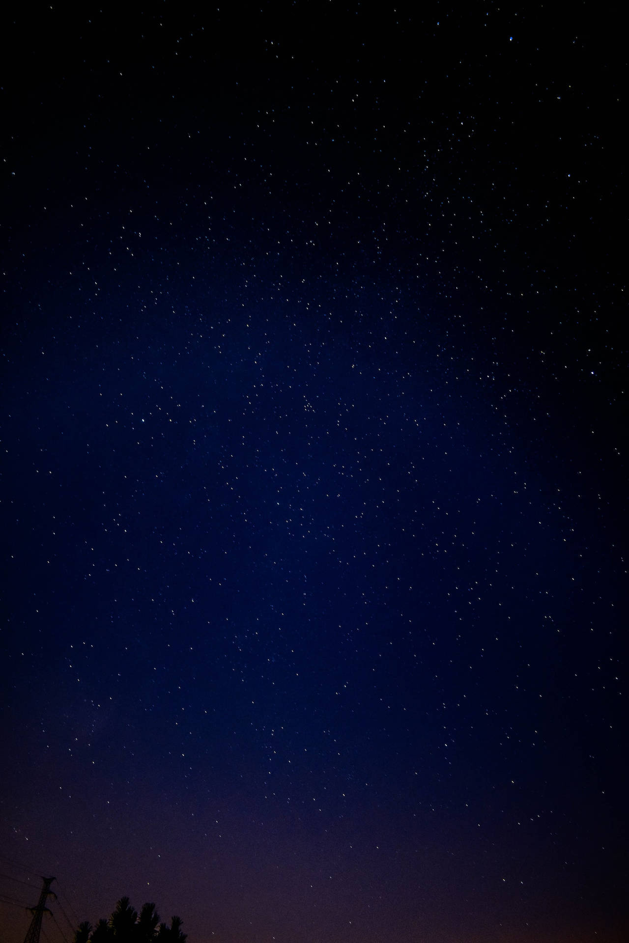 Aesthetic Wallpaper
