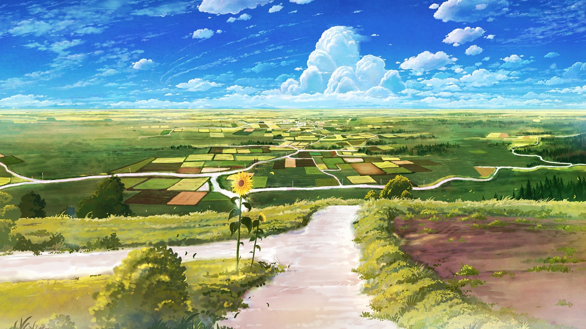 Country Roads Wallpaper