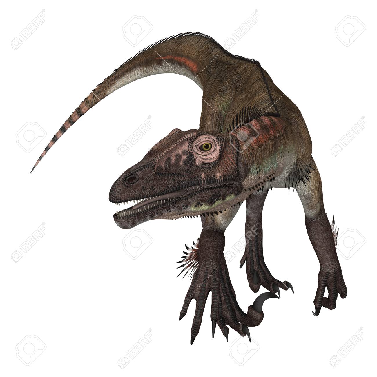 3d Rendering Of A Dinosaur Utahraptor Isolated On White Background