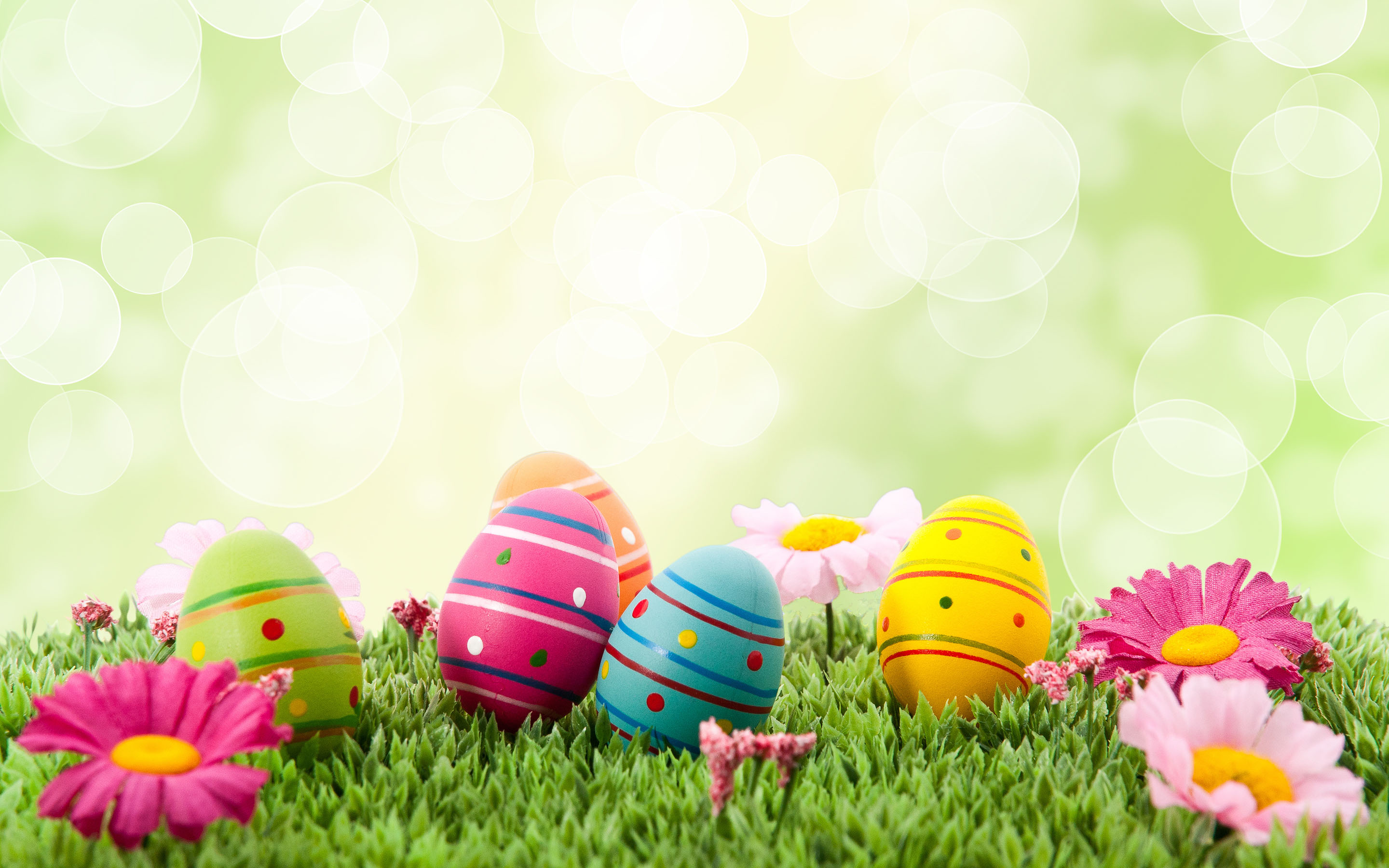 Easter Image Eggs HD Desktop Wallpaper 4k