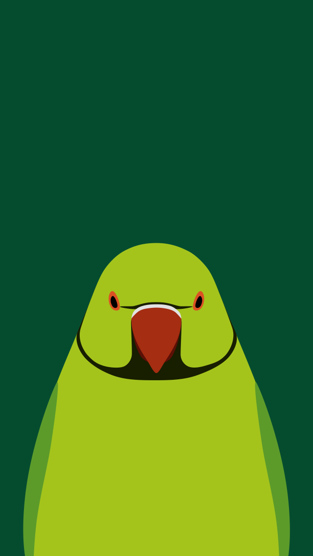 Rose ringed Parakeet   bird wallpaper for iPhone by birnimal on 640x1136