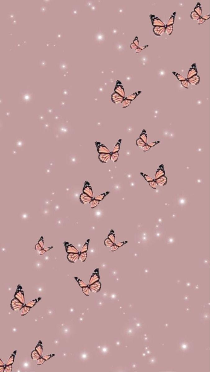 Butterfly Aesthetic Wallpaper For iPhone