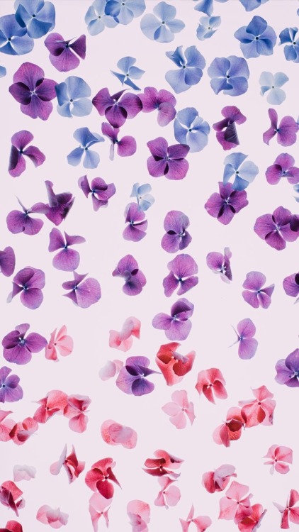 Purple Aesthetic Wallpaper