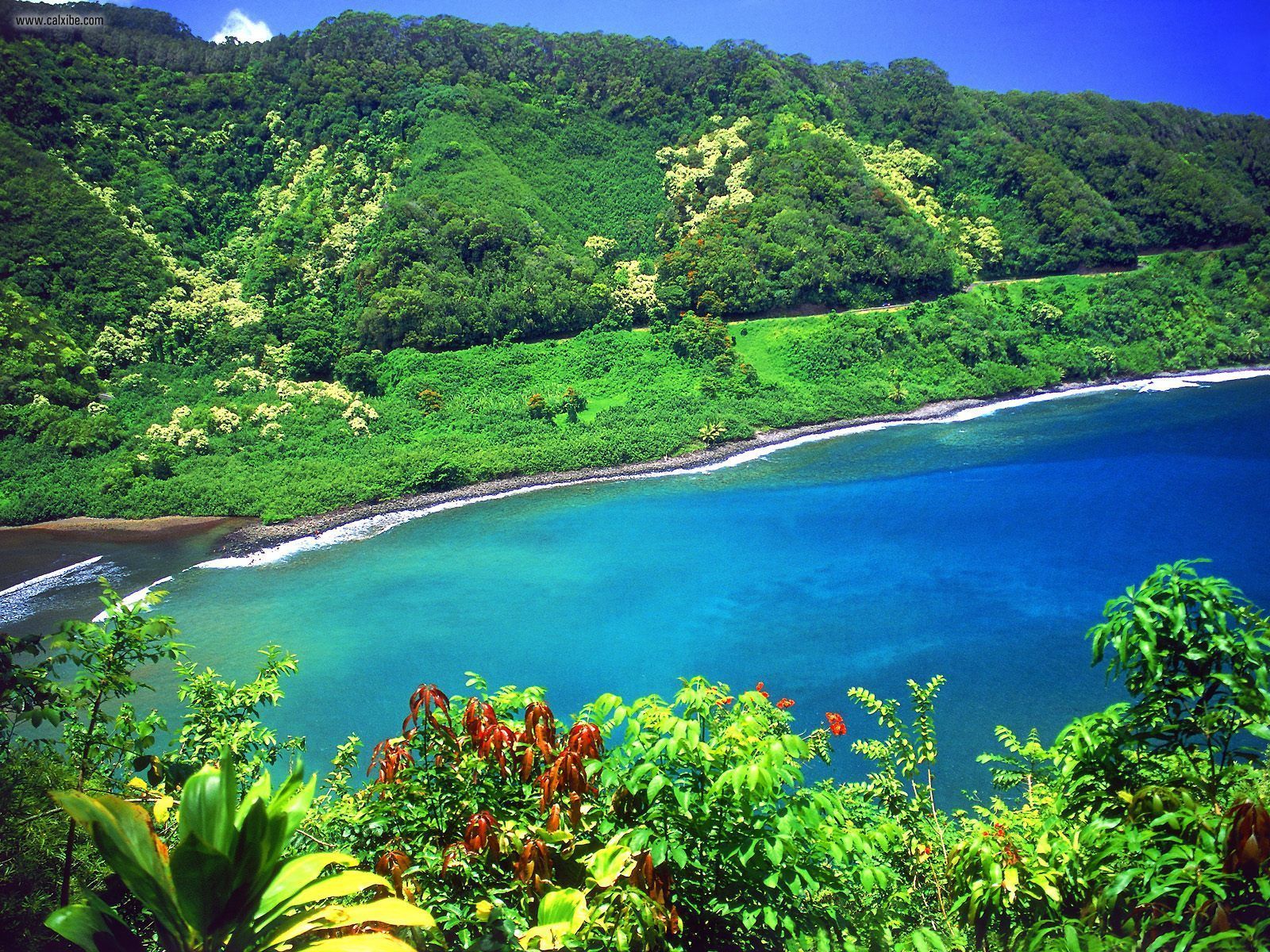 Nature Road To Hana Turquoise Lagoon Maui Hawaii Picture Nr
