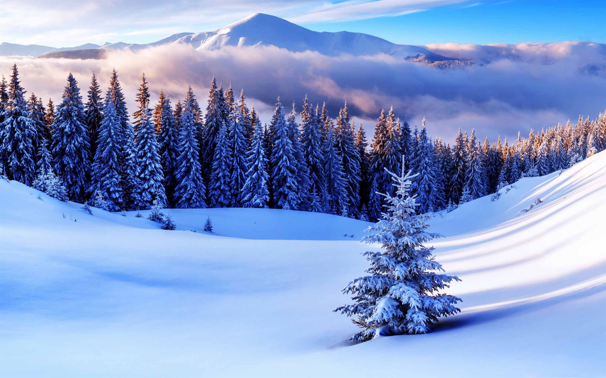 Winter Season Mountains Mac Wallpaper
