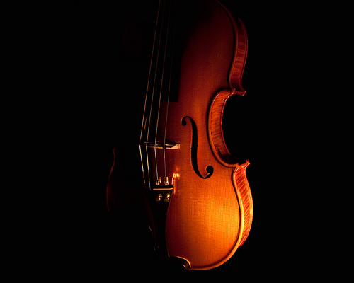 Violin Wallpaper Photo Sharing