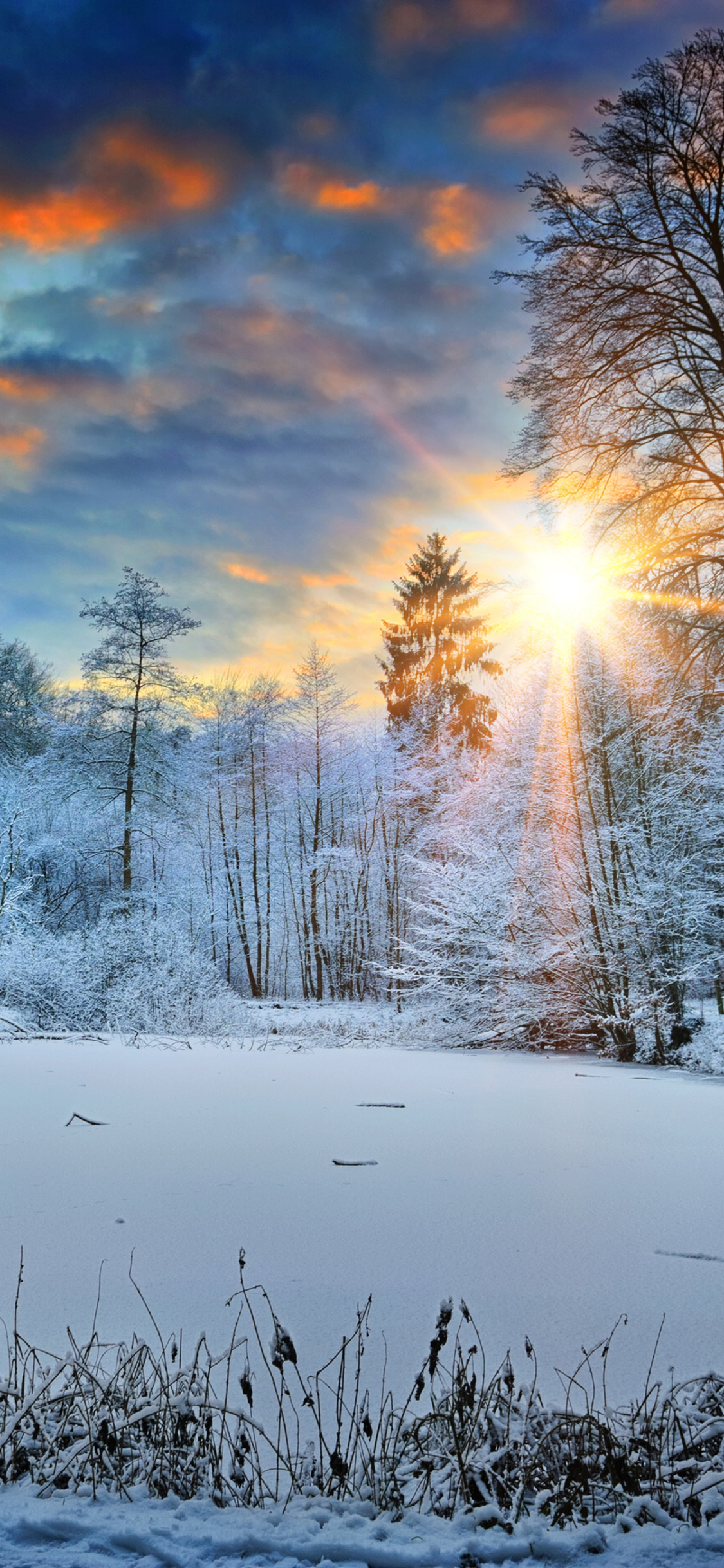 A breathtaking 4k winter wallpaper featuring a snow-covered forest and frozen lake at sunset