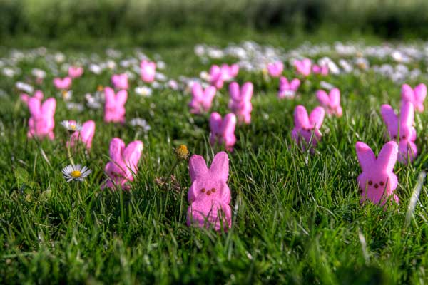 The Gift Of Peeps With Fun Easter Favors Includes Printables