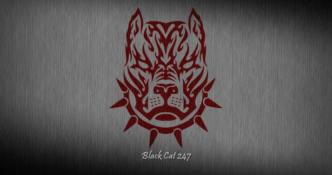 Black Pitbull Wallpaper