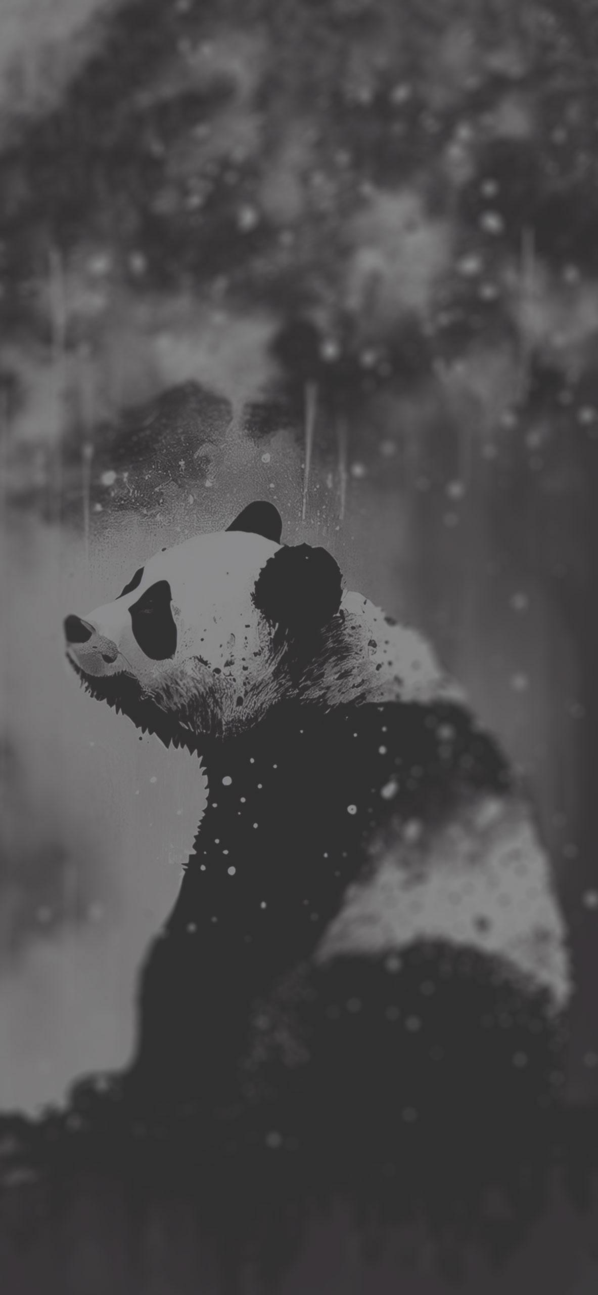 Sad Panda Black White Wallpaper Aesthetic