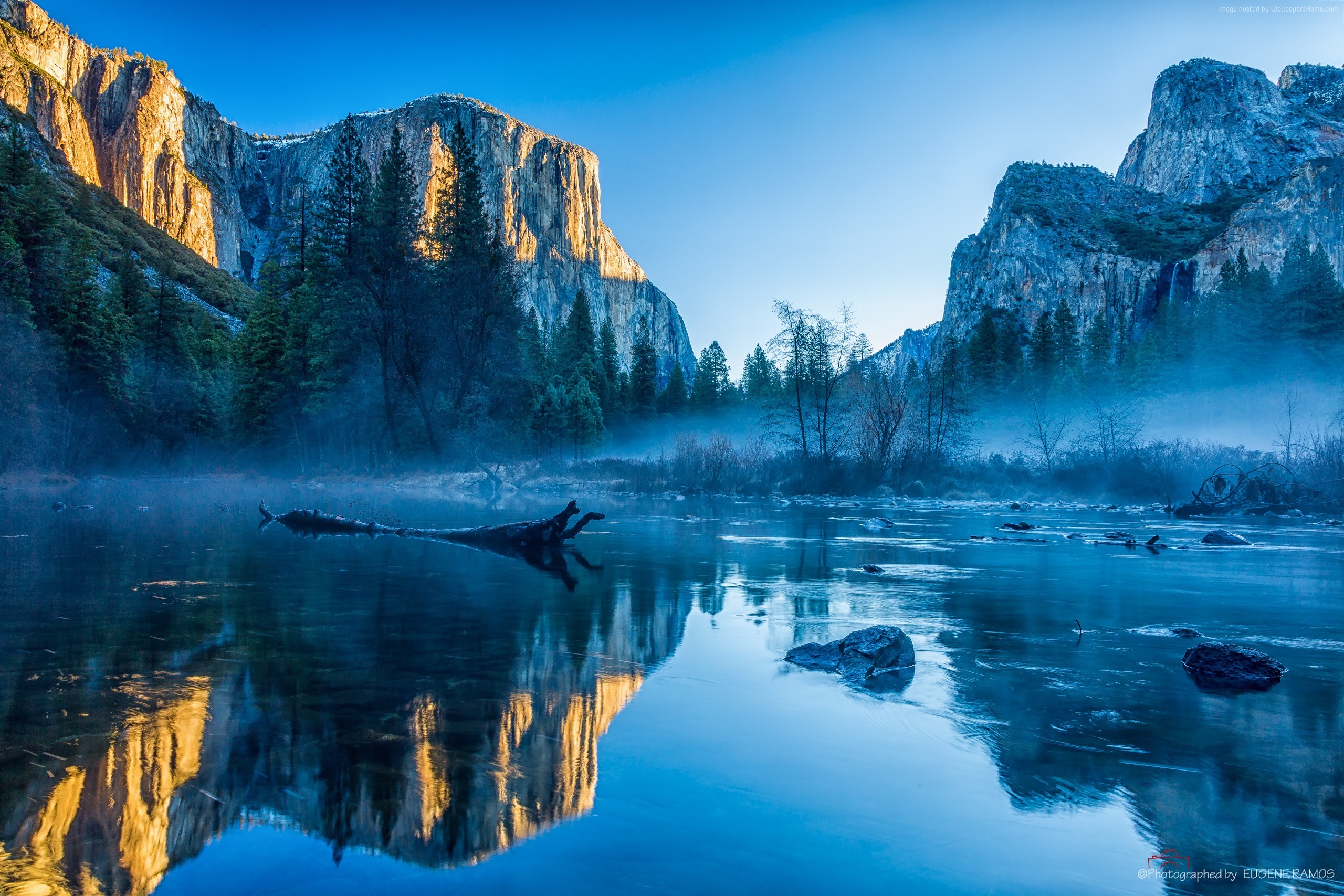 Yosemite El Capitan 5k Wallpaper Winter Forest Osx Apple