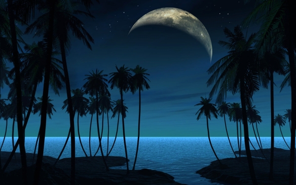 Beach Moon Night Watch Wallpaper Desktop