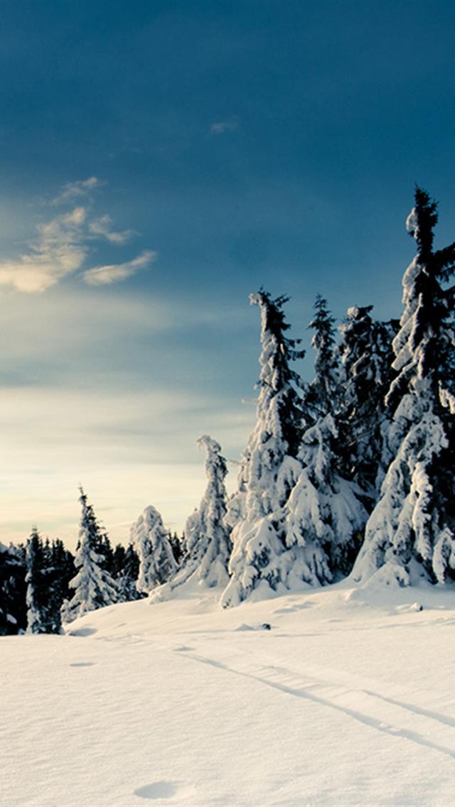 iPhone Wallpaper HD Winter Snow Tree