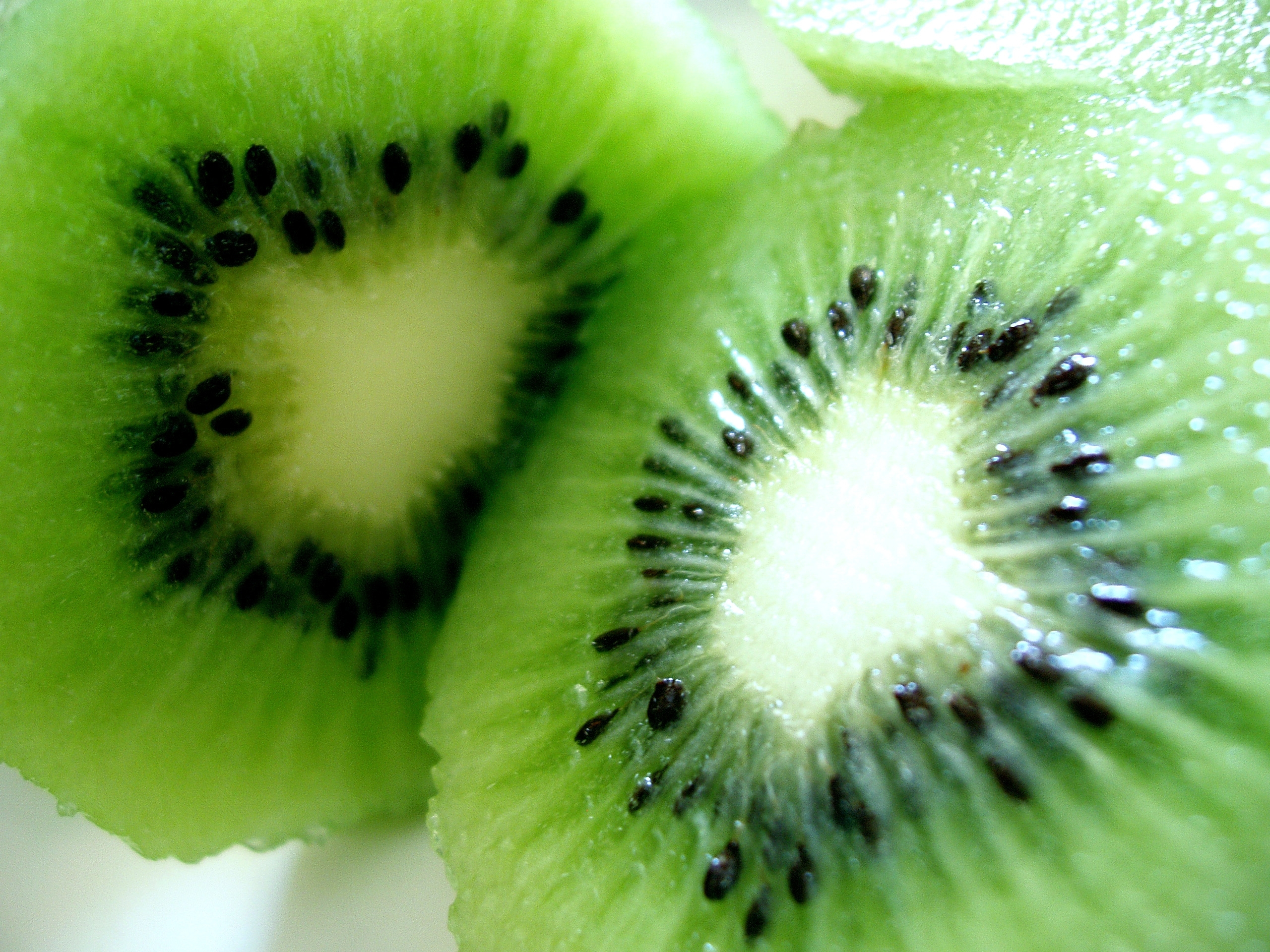 Alimentos Wallpaper Frutas Verdes Kiwi