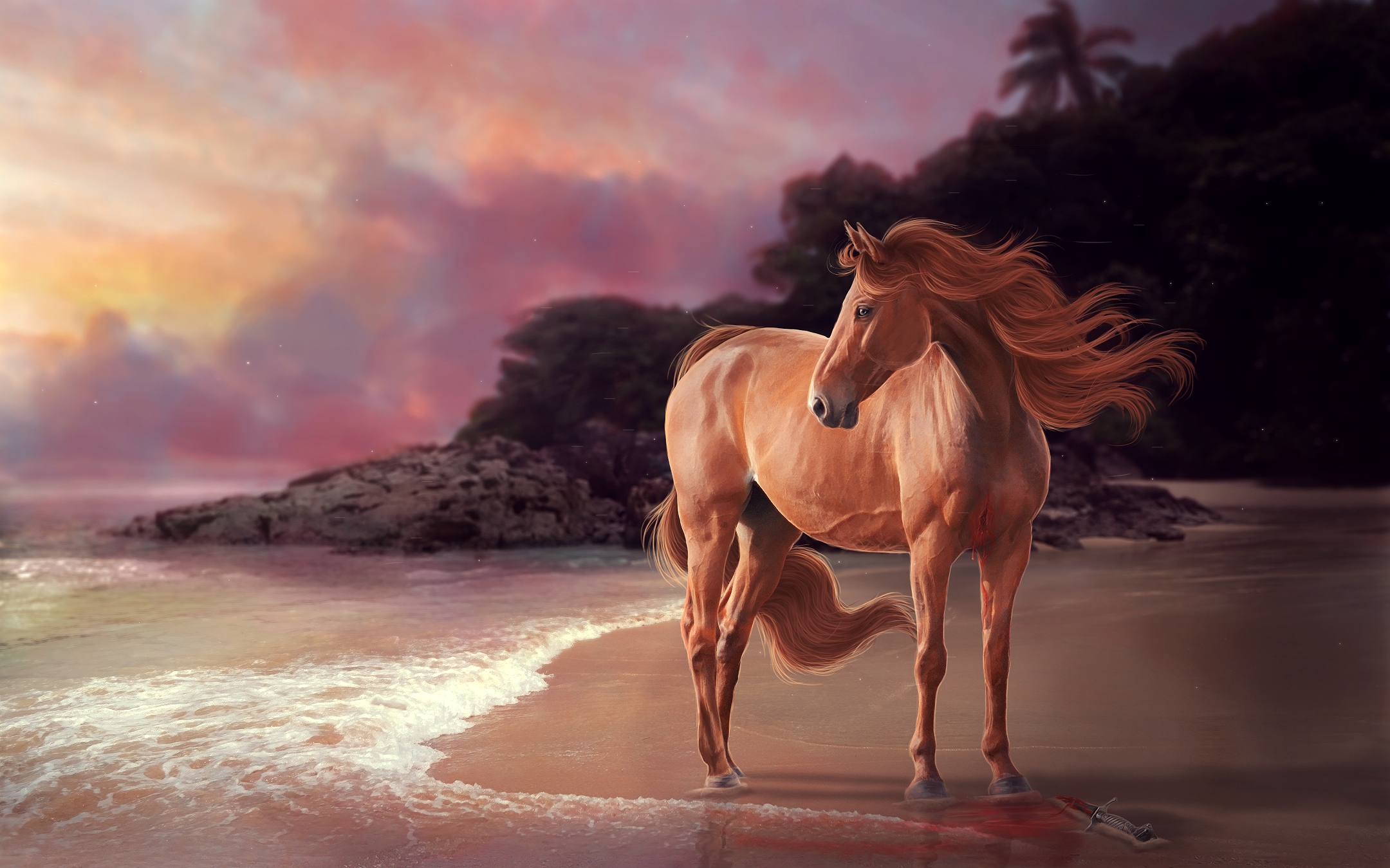 Horse On Sunset Beach By Jenna Phillips