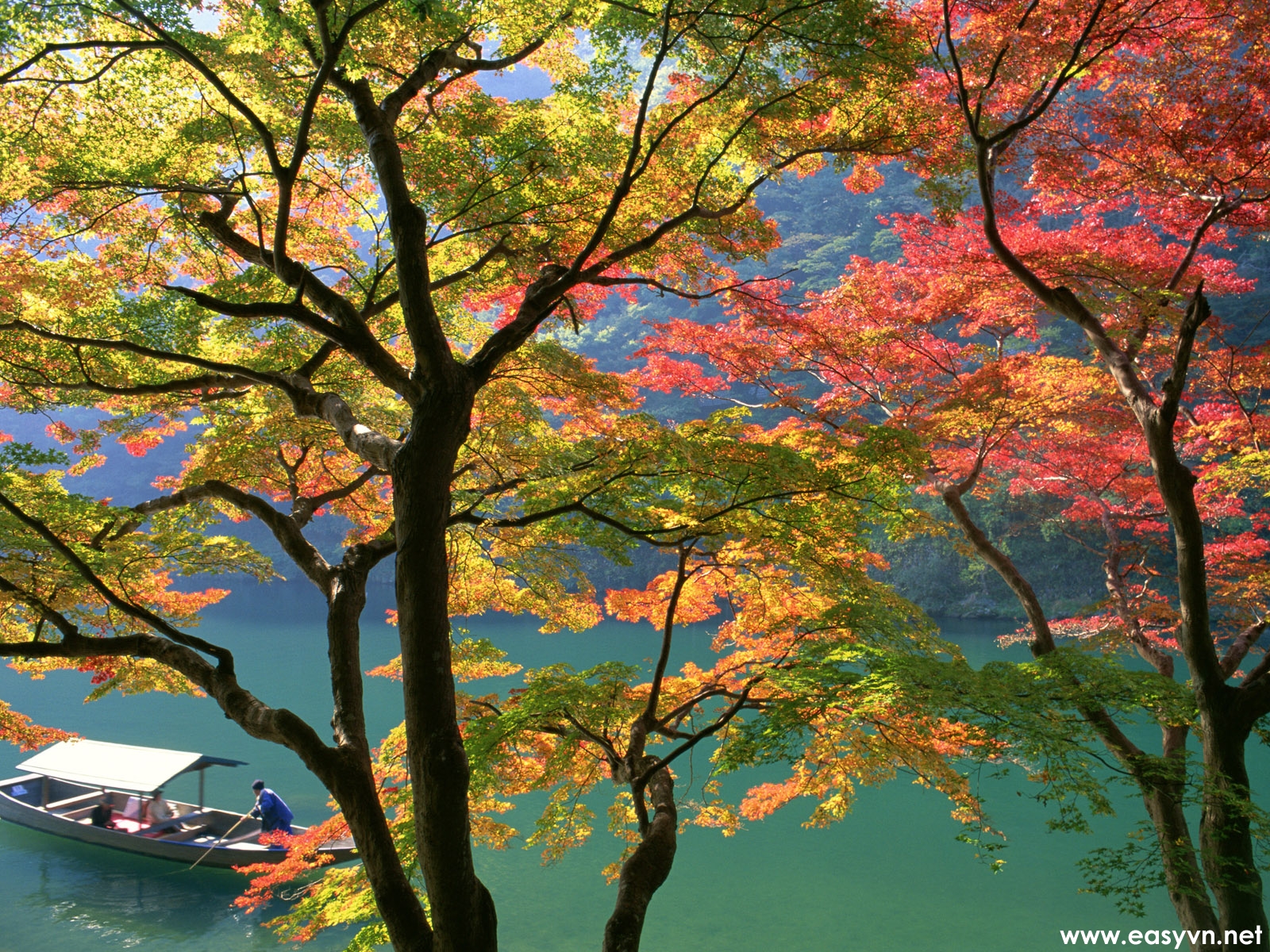 Of Various Japanese Nature Wallpaper For Your Desktop