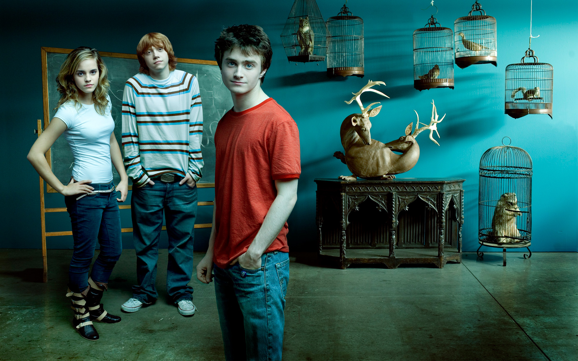 Fondo de Pantalla Harry Potter HD   Wallpapers HQ 1080p