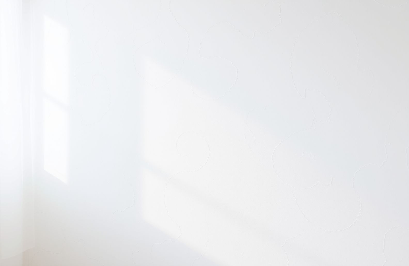 White Background Wallpaper