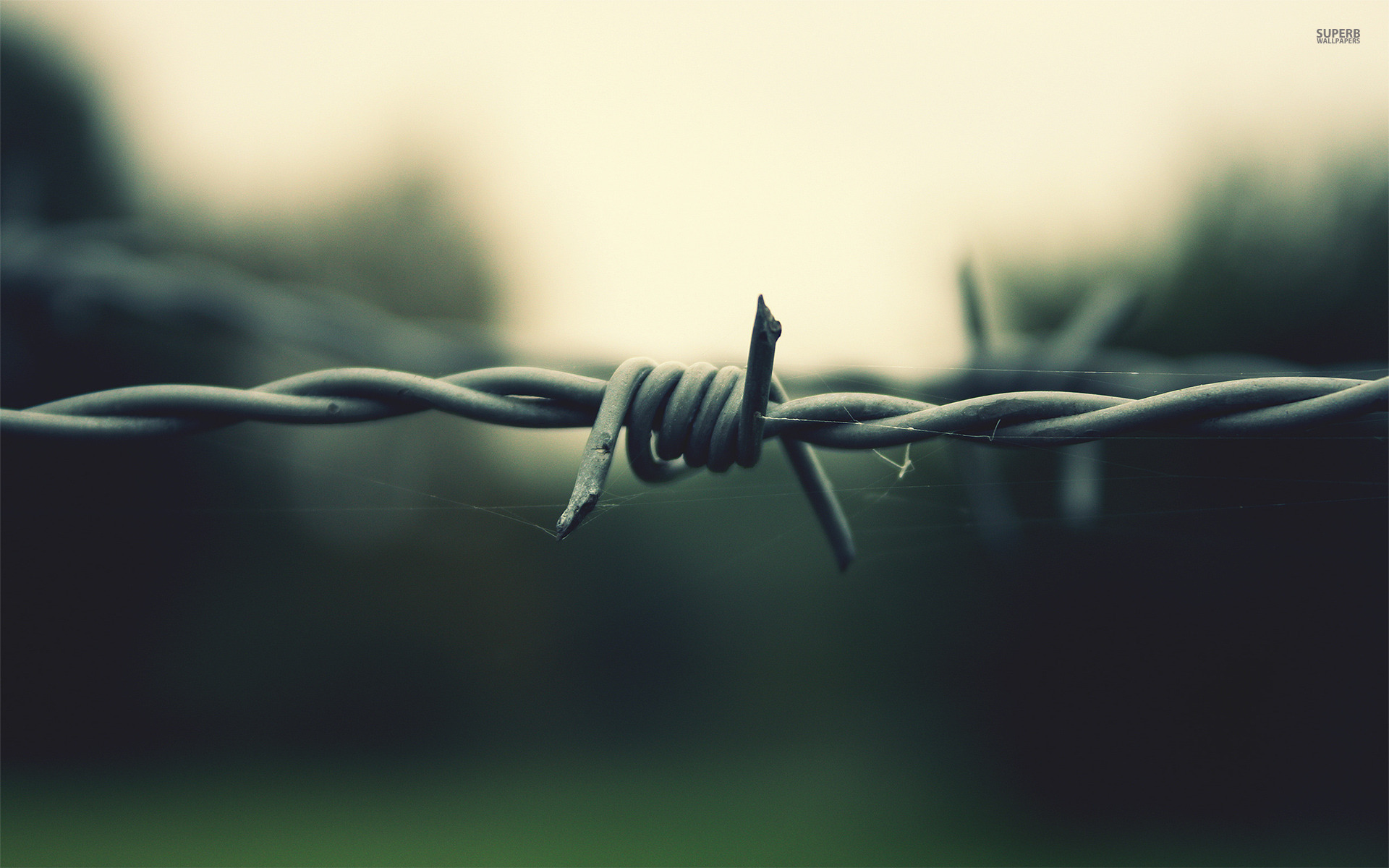 Barbed Wire Wallpaper