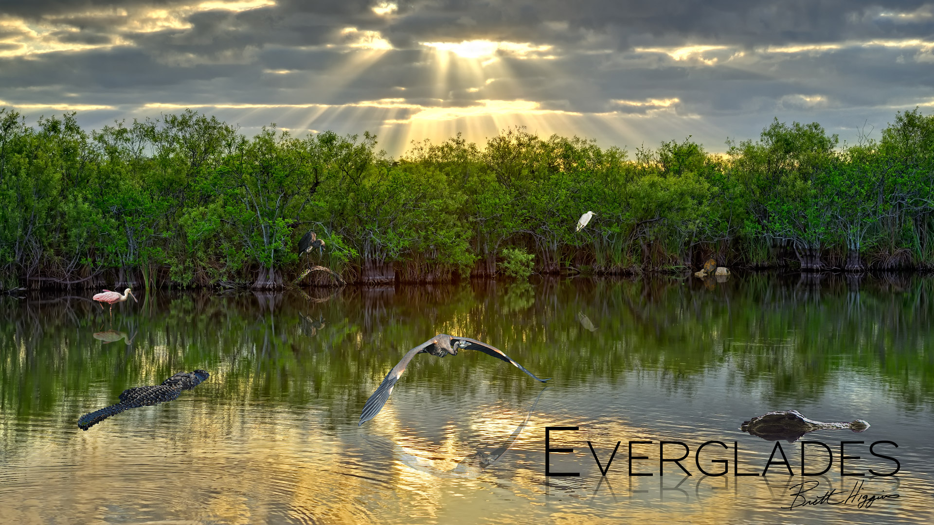 Best HD Everglades National Park Wallpaper