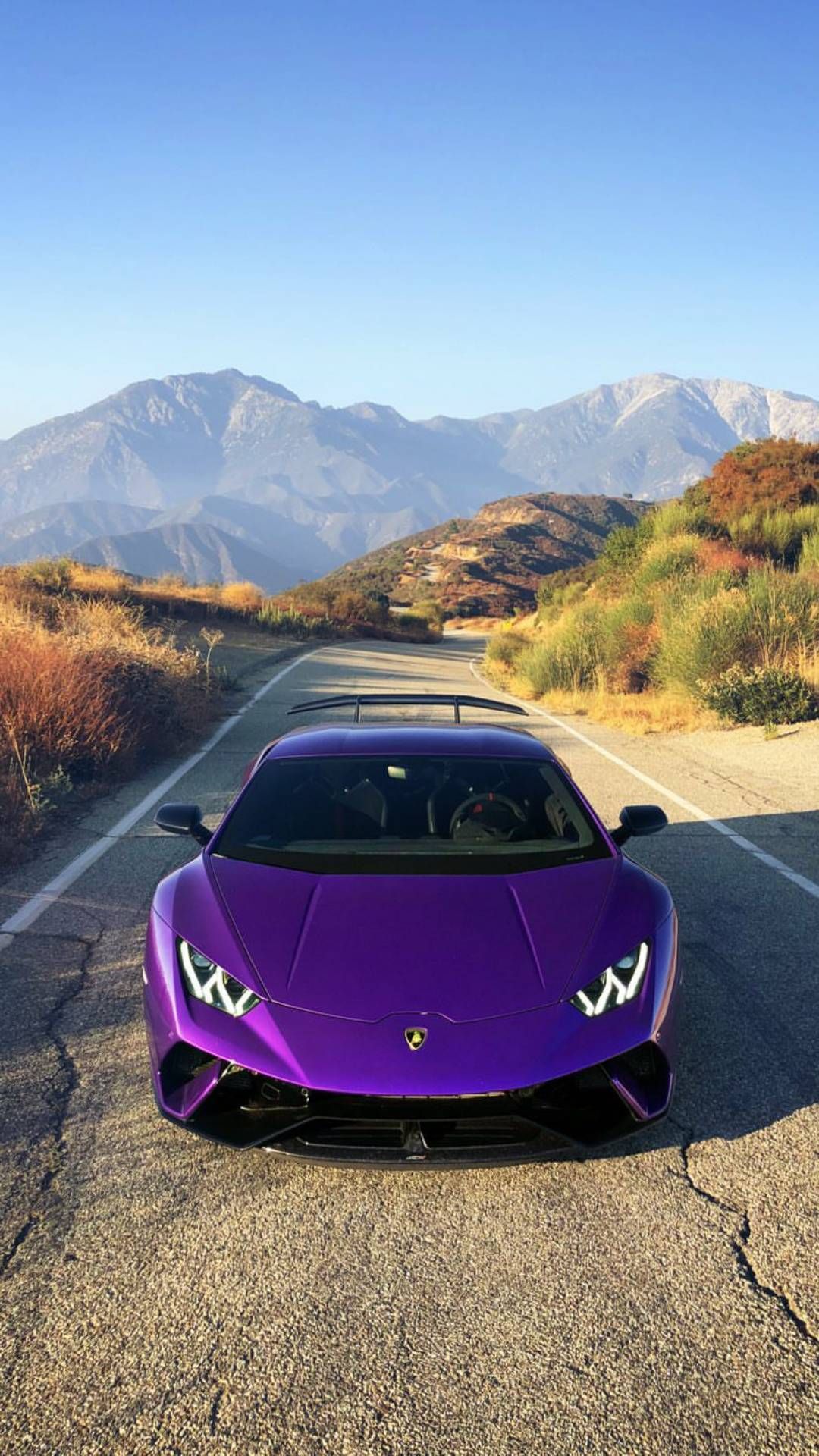 Purple Lambo iPhone Wallpaper Car Cars Lamborghini
