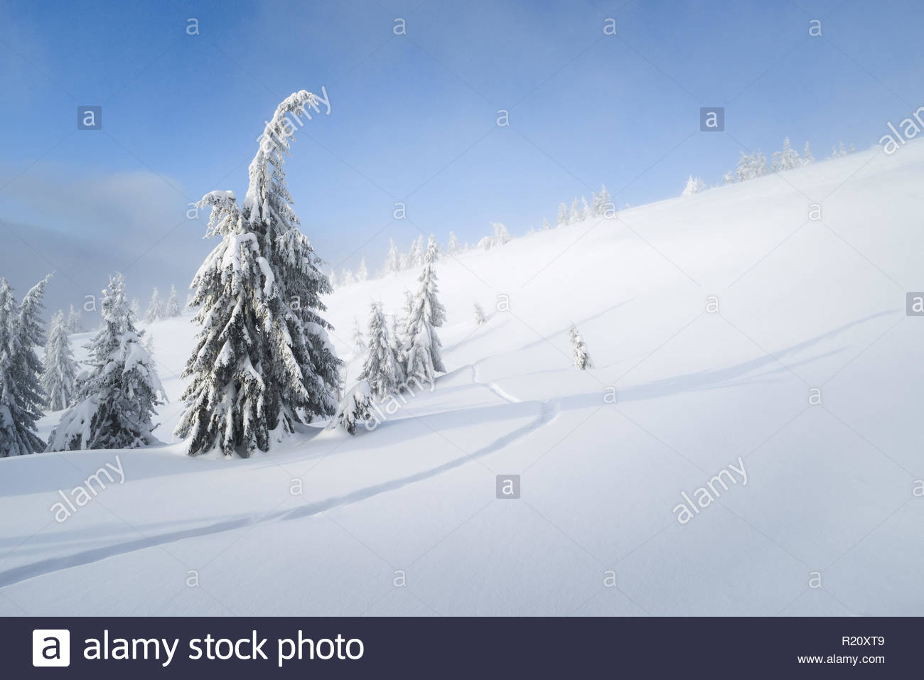 Winter Background With Copy Space Snowy Weather In The Mountain
