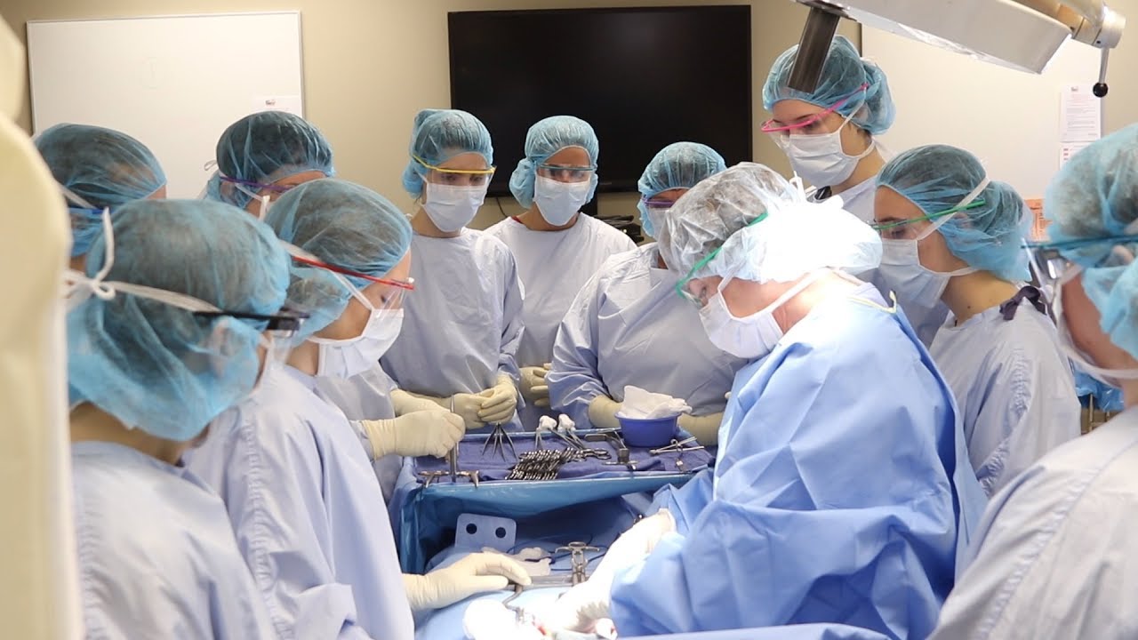 Surgical Technologist Schools Programs Training Degrees MN
