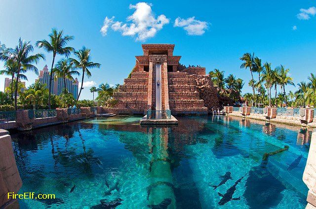 Atlantis Resort Paradise Island The Bahamas   Amazing Nature   See