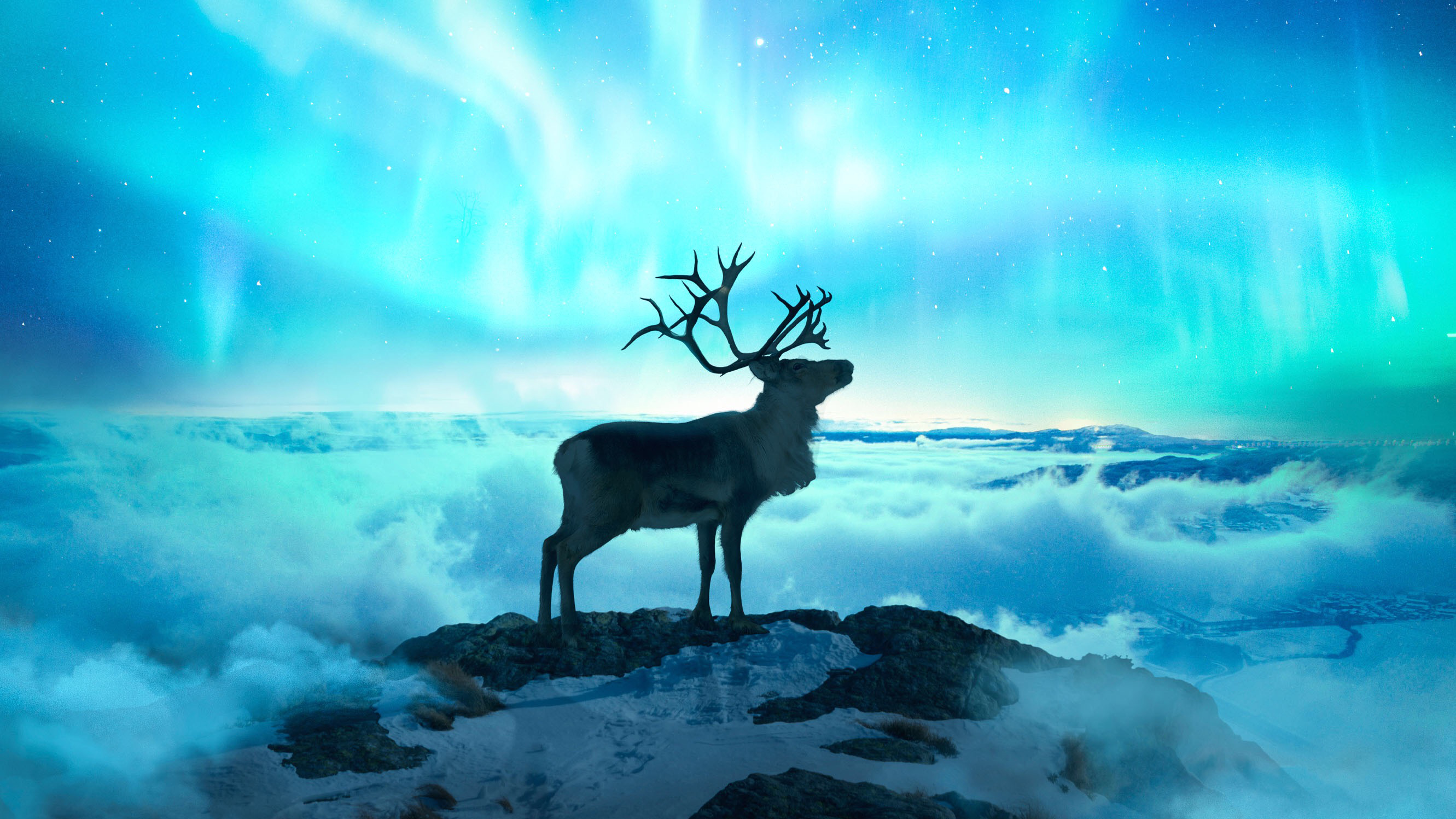 Reindeer Fantasy Art 1080p Resolution HD 4k Wallpaper Image Photos