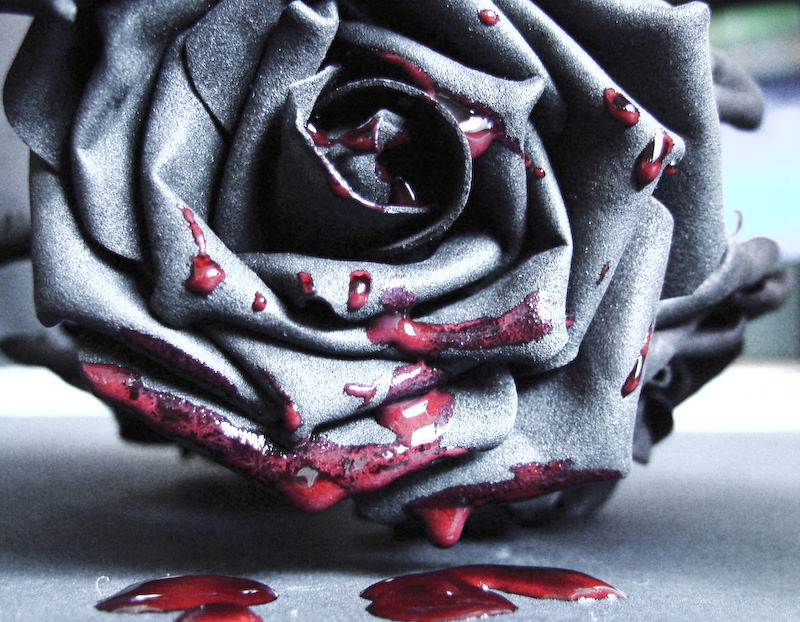 Bloody Roses By Prettieststarrynight